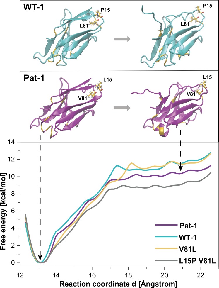 Figure 7.