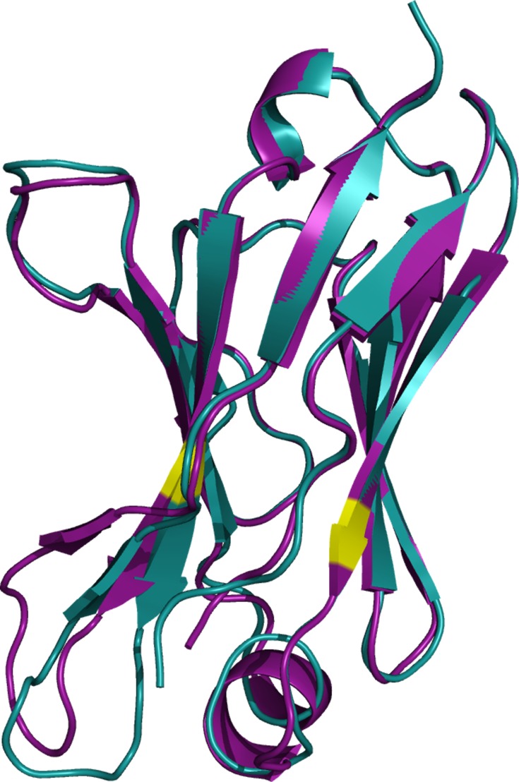 Figure 2—figure supplement 1.