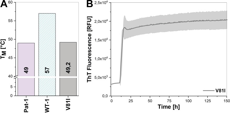 Figure 3—figure supplement 1.