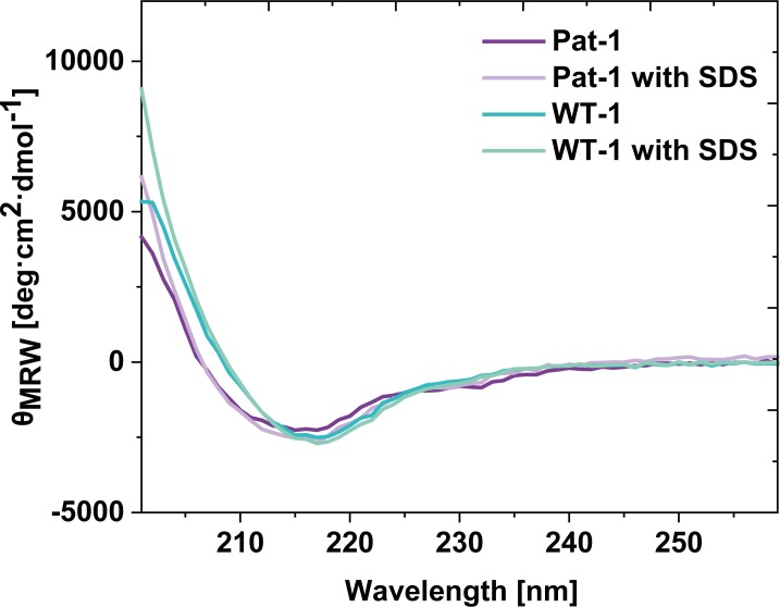 Figure 1—figure supplement 2.