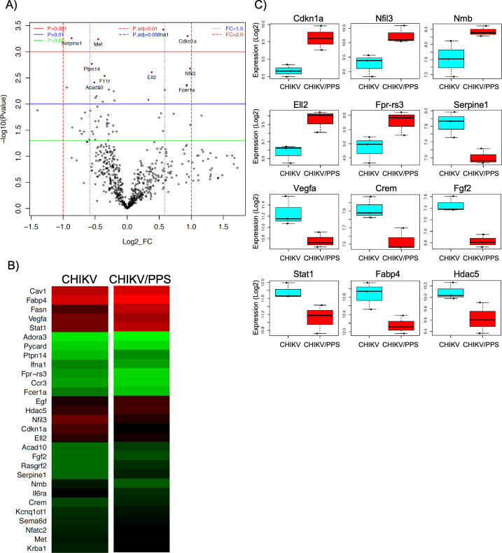 Fig 6