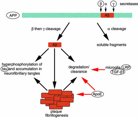 FIG. 2.