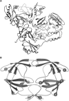 FIG. 1.