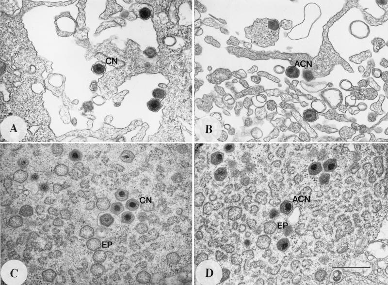 FIG. 7