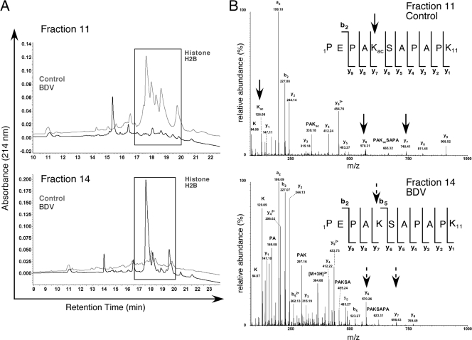 FIG. 7.