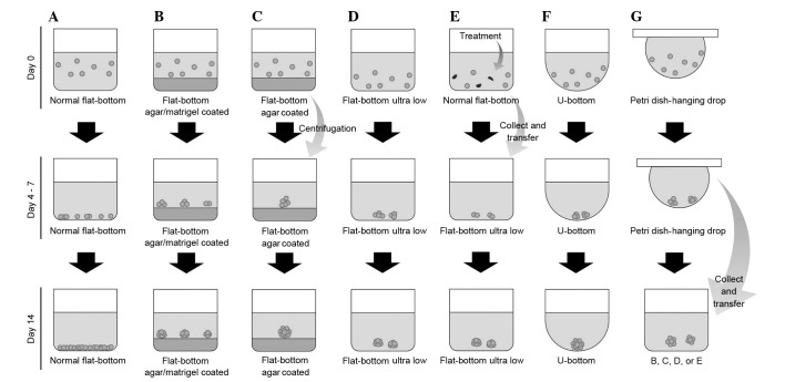 Figure 3.