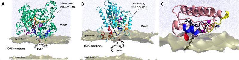 Figure 4.