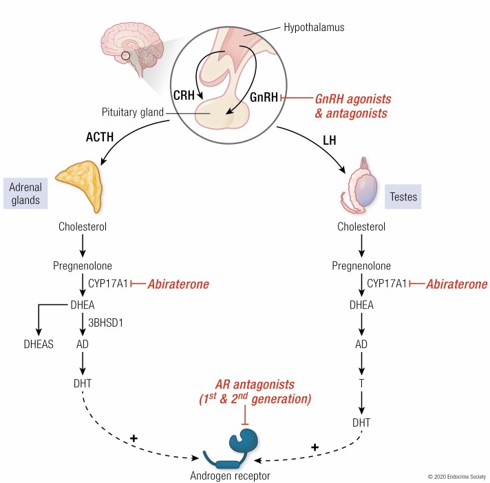 Graphical Abstract