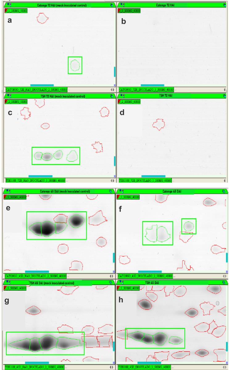 Figure 6