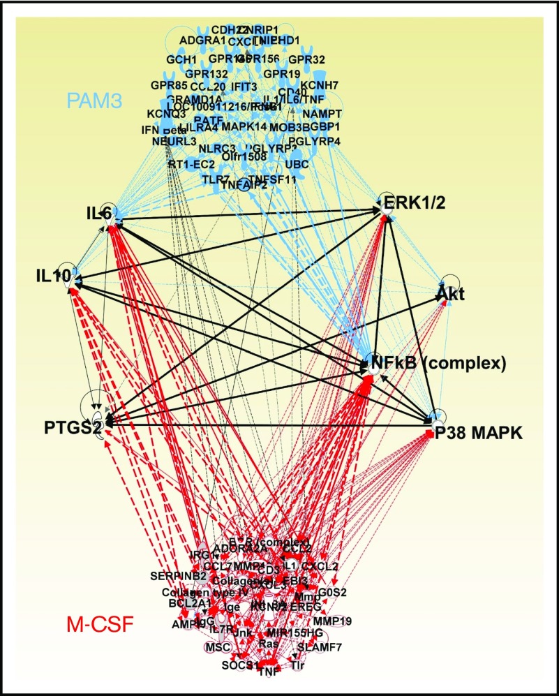 Figure 5.