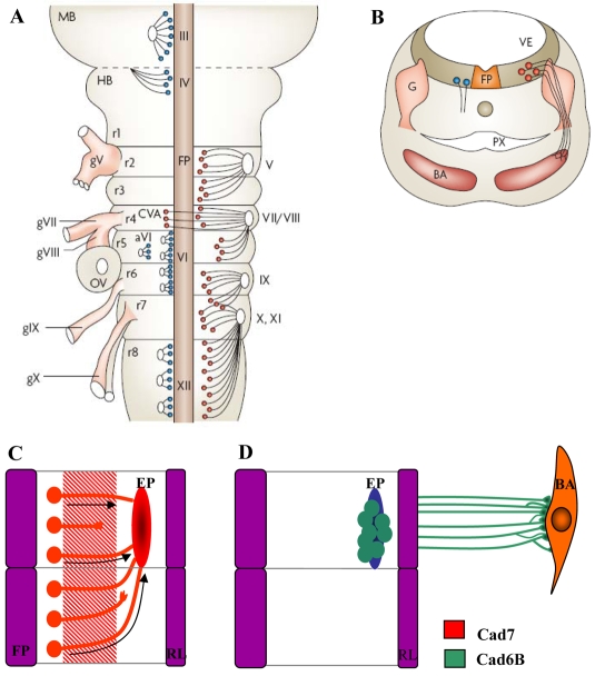 Fig. 1.