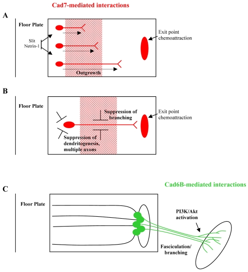 Fig. 8.