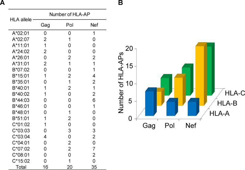 FIG 6