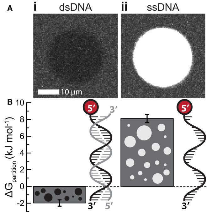 Figure 7