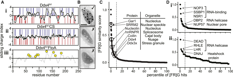 Figure 6