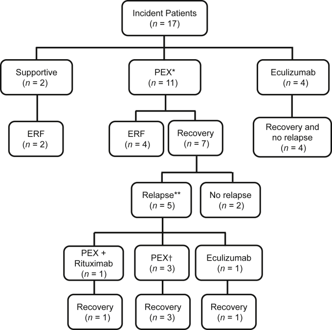 Figure 5