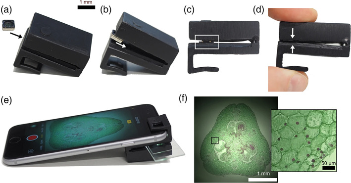 FIGURE 4