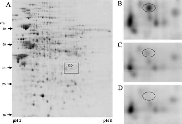 FIG. 6.