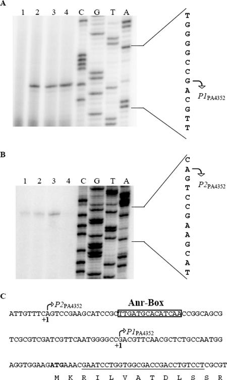 FIG. 4.