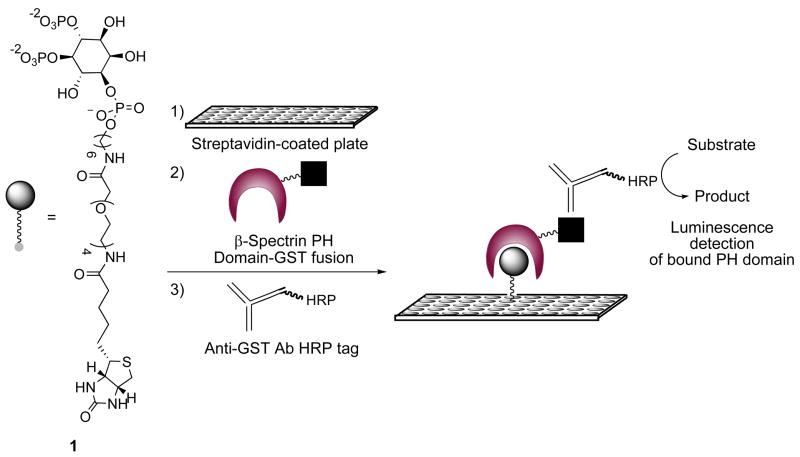 Scheme 2