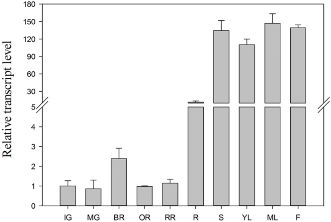 FIGURE 4