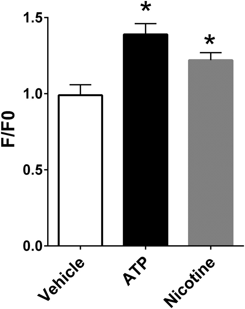 FIG. 2.