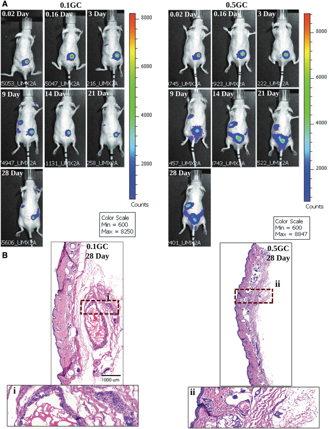 FIG. 7.