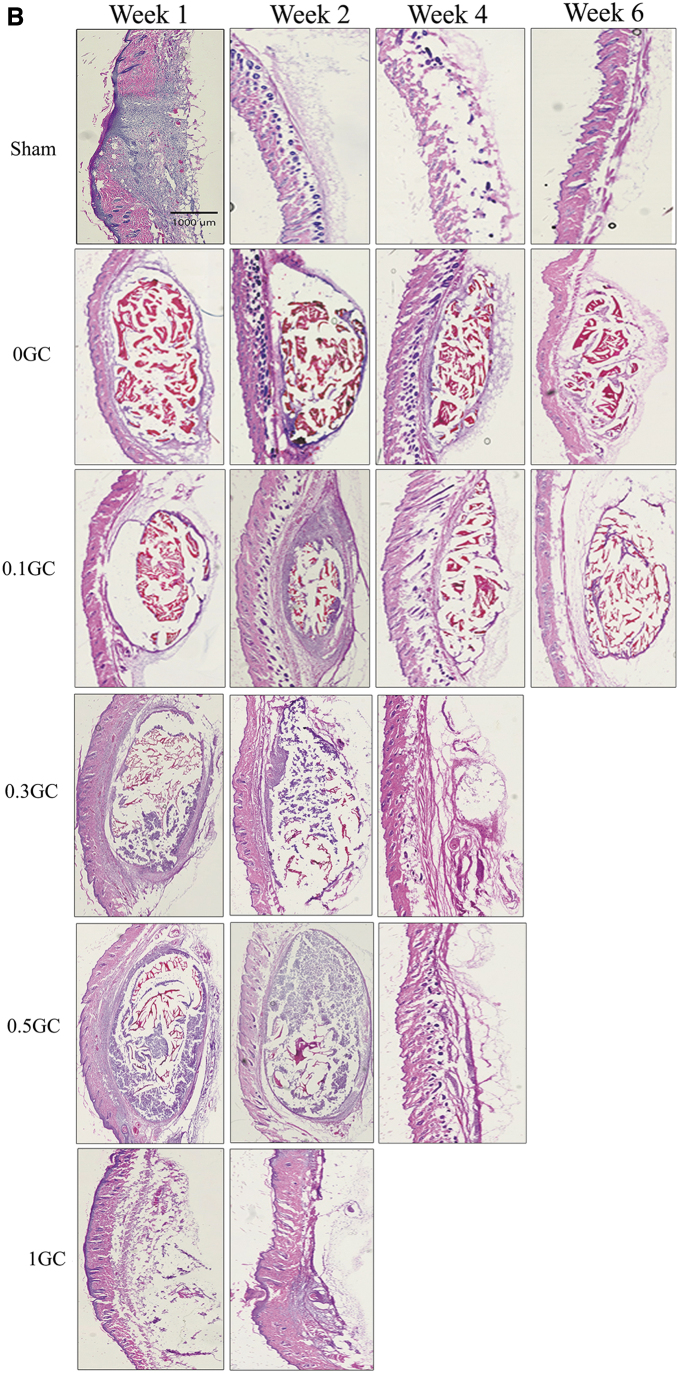 FIG. 5.