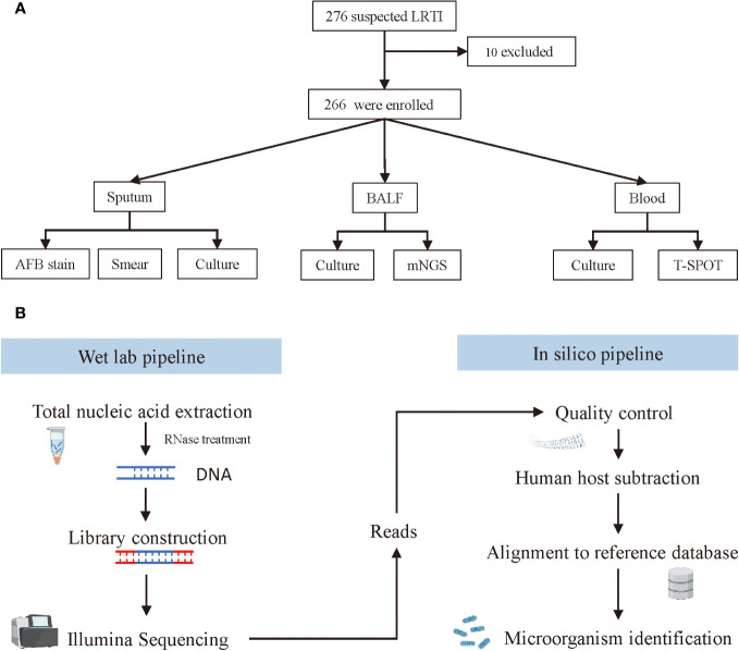 Figure 1