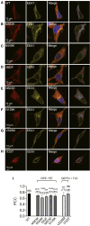 Figure 6