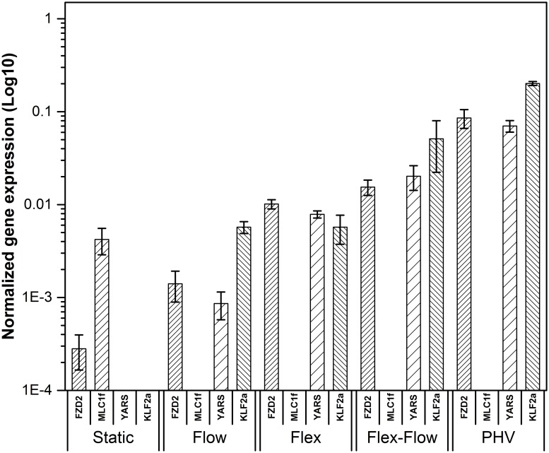 Fig 6