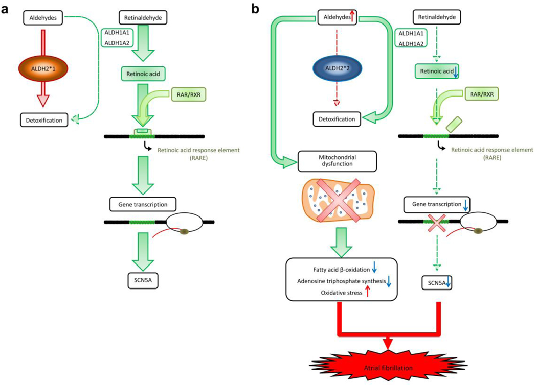 Fig. 7.