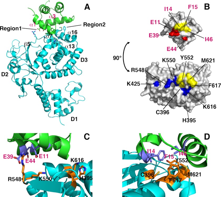 FIGURE 3.