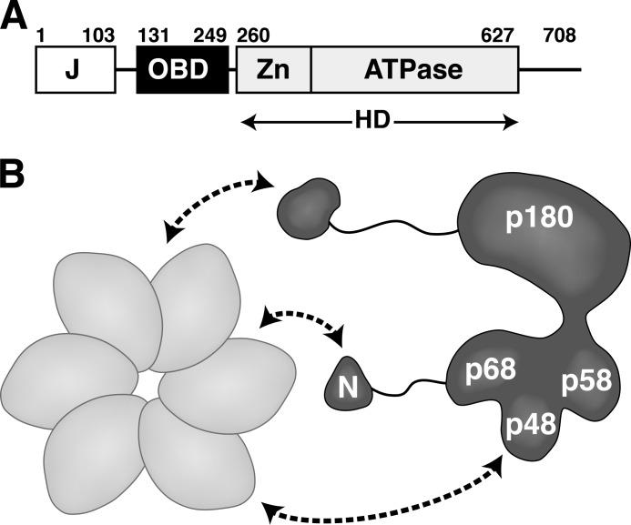 FIGURE 1.