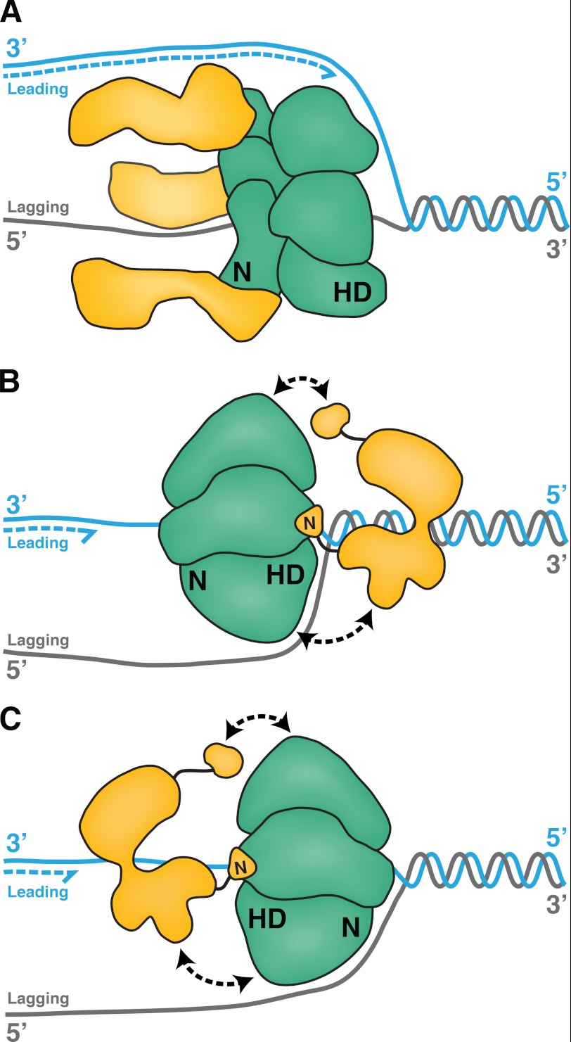 FIGURE 7.