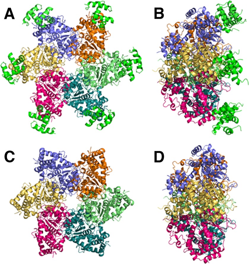 FIGURE 2.