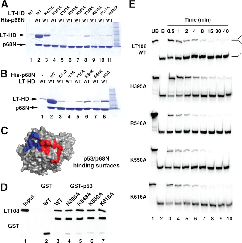 FIGURE 4.