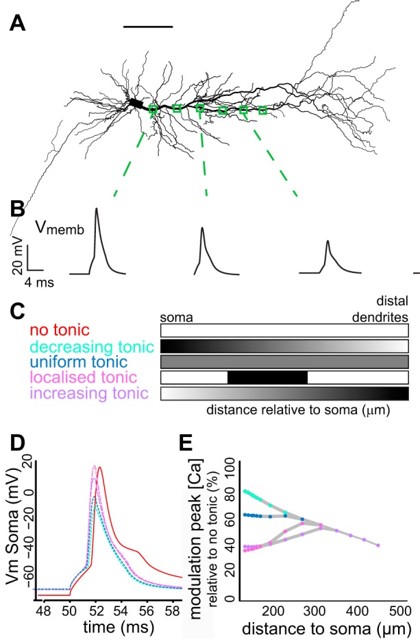 Fig. 9.