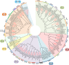 FIG 13