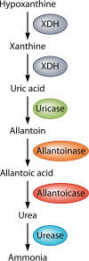 FIG 5