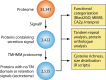 FIG 20