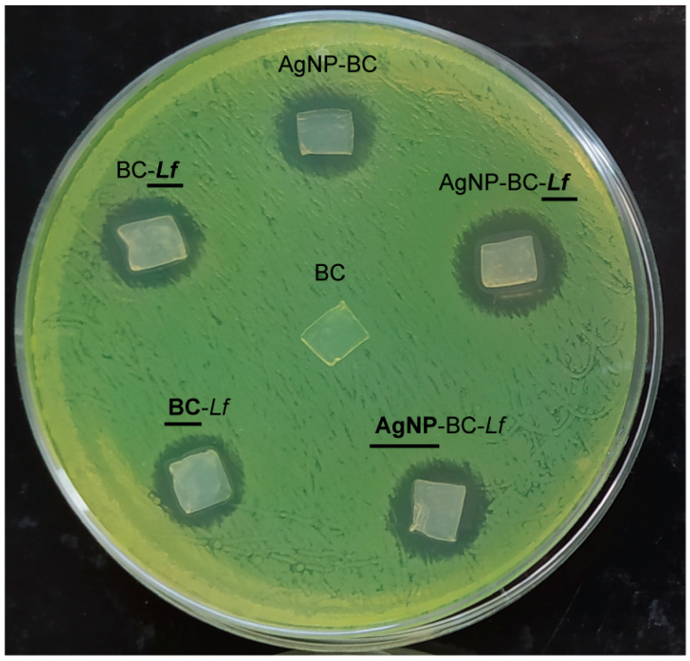 Figure 4