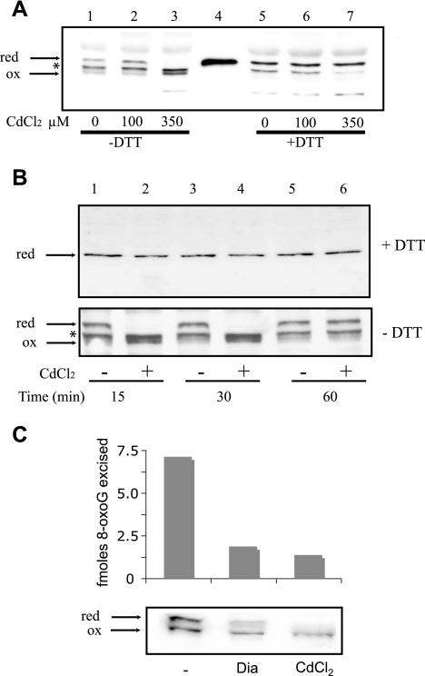 FIG. 5.