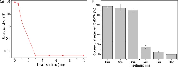 FIG 8