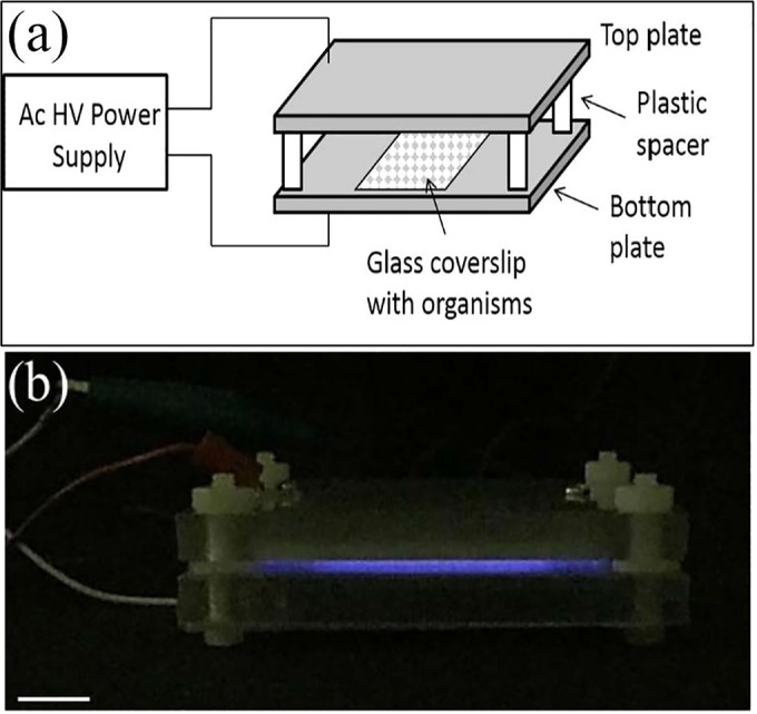 FIG 1