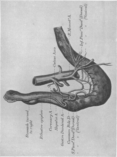 p345-a