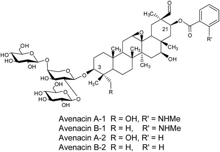 FIGURE 1.