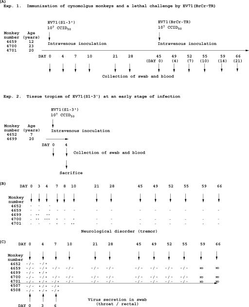 FIG. 2.