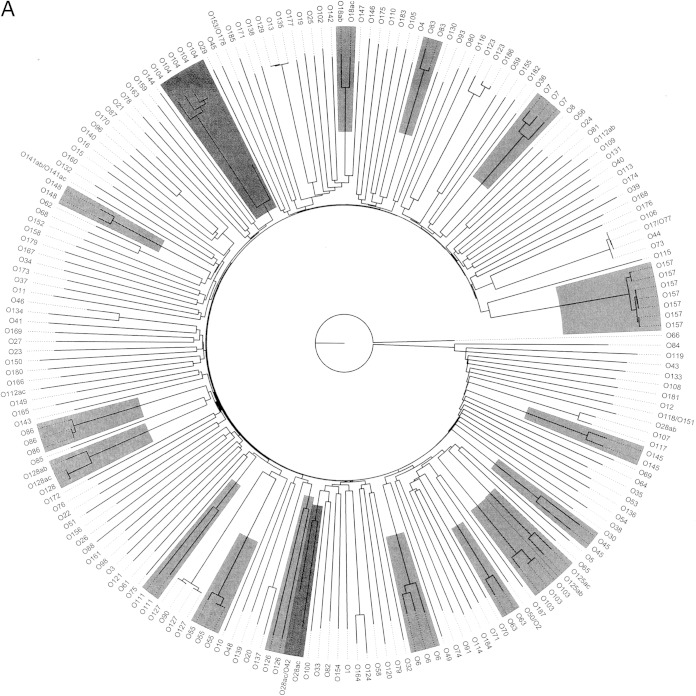 FIG 1