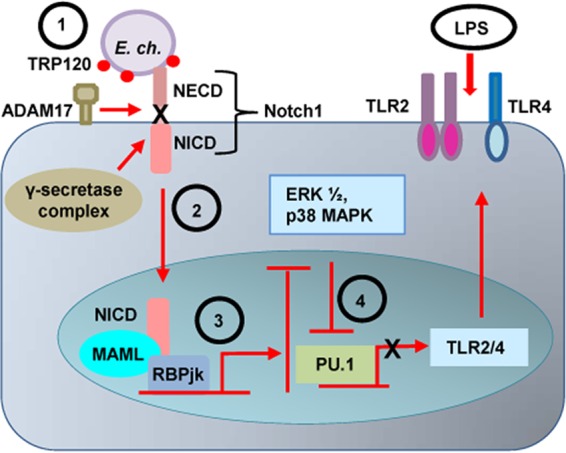 FIG 10 